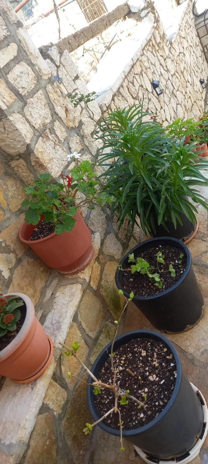 Himara Apartments Bagian luar foto